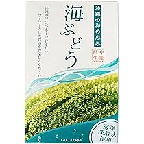 Amazon | 海ぶどう 100g 箱入り×9箱 グローアップコーポレーションF